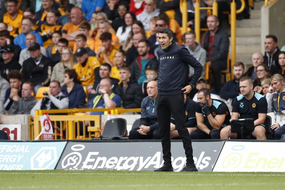 Wolves may have a future star in Kandola